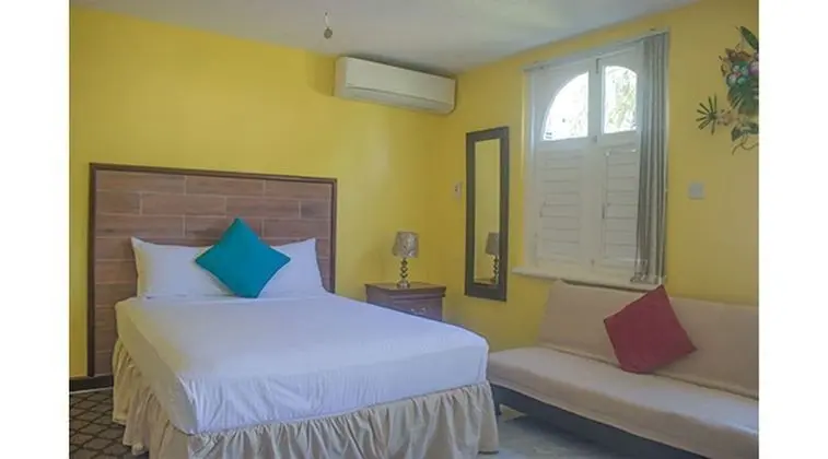 Comfort Stüdyo, 1 Büyük (Queen) Boy Yatak ve Çekyat, Engellilere Uygun, Denize Sıfır