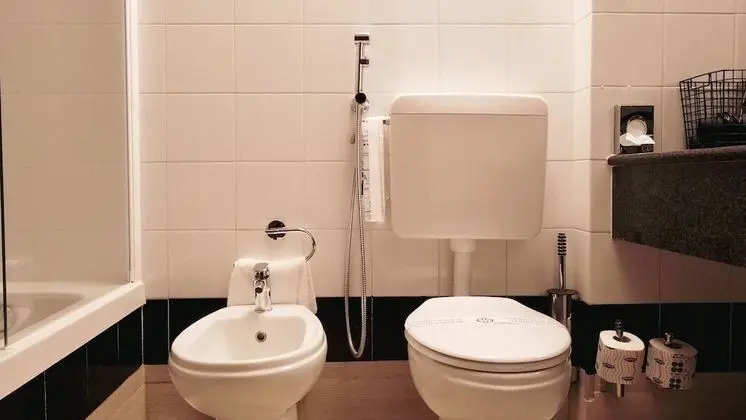 Standard Tek Büyük Yataklı Oda, Göl Manzaralı