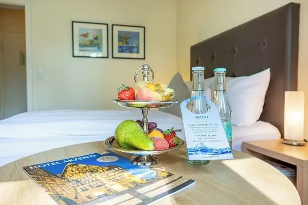 Business Tek Büyük Yataklı Oda, Bahçe Manzaralı