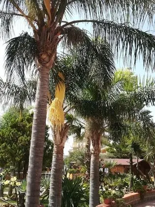 Üç Kişilik Oda (Demetra)