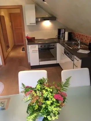 Superior Apart Daire, Balkon