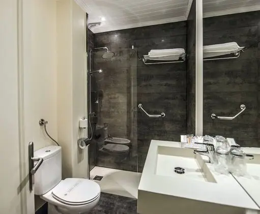 Business Büyük Yataklı Tek Kişilik Oda (Interior)