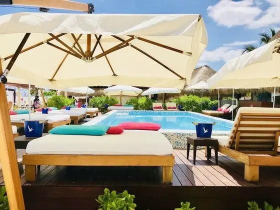 Oda, 1 Yatak Odası, Buzdolabı
