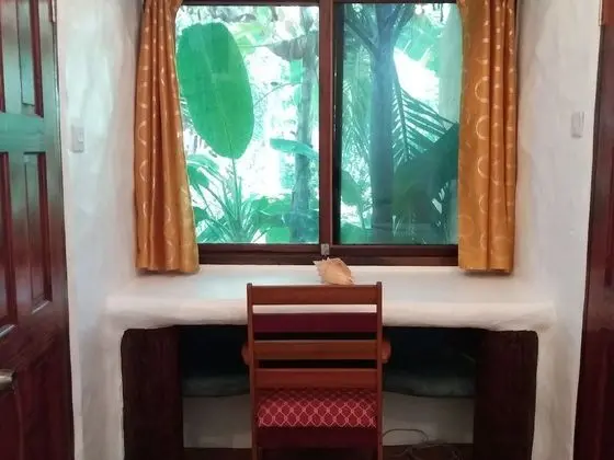 Standard Oda, 1 Büyük (Queen) Boy Yatak, Havuz Kullanımı, Havuz Kenarı (Foxtail Palm)