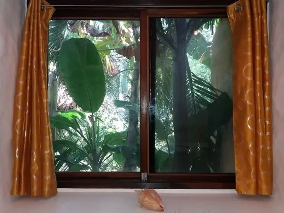 Standard Oda, 1 Büyük (Queen) Boy Yatak, Havuz Kullanımı, Havuz Kenarı (Foxtail Palm)