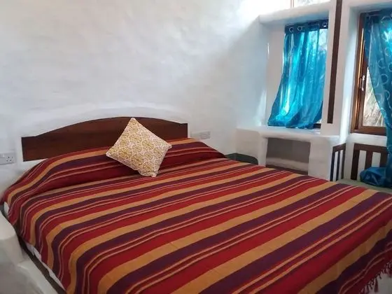 Standard Oda, 1 En Büyük (King) Boy Yatak, Havuz Kullanımı, Bahçe Manzaralı (Coconut Palm)