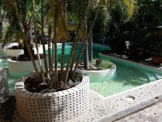 Standard Oda, 1 En Büyük (King) Boy Yatak, Havuz Kullanımı, Bahçe Manzaralı (Coconut Palm)