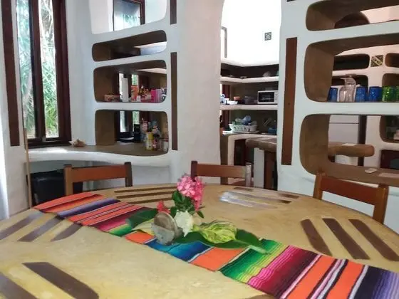 Standard Oda, 1 En Büyük (King) Boy Yatak, Havuz Kullanımı, Bahçe Manzaralı (Mexican Palm)