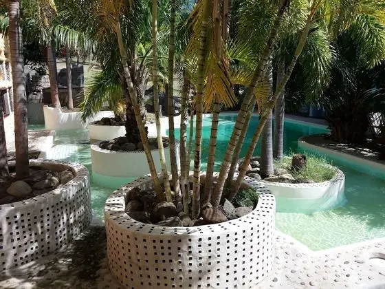 Standard Oda, 1 En Büyük (King) Boy Yatak, Havuz Kullanımı, Bahçe Manzaralı (Mexican Palm)