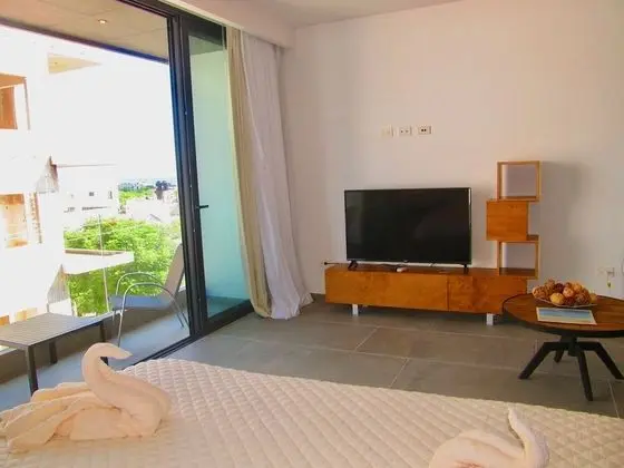 Stüdyo, 1 En Büyük (King) Boy Yatak, Balkon