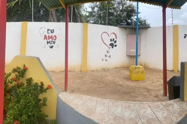 Apart Daire, Birden Çok Yatak