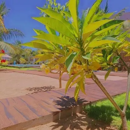 Casa Praia