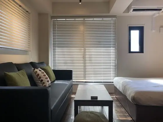 Superior Tek Büyük Yataklı Oda, Özel Banyo (with Sofa Bed)