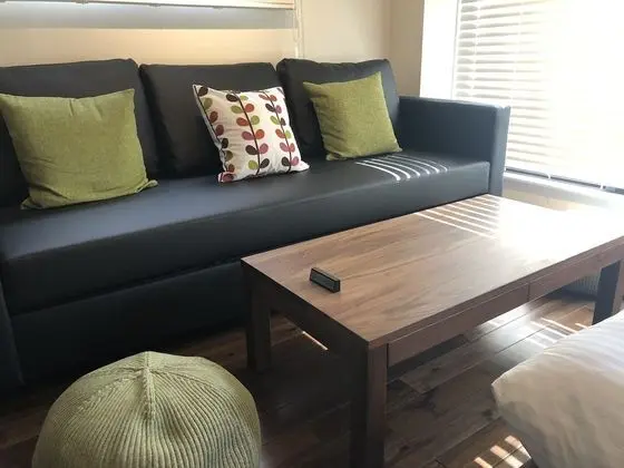 Superior Tek Büyük Yataklı Oda, Özel Banyo (with Sofa Bed)