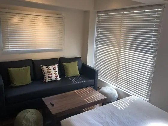 Superior Tek Büyük Yataklı Oda, Özel Banyo (with Sofa Bed)