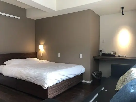 Tek Büyük Yataklı Oda, Özel Banyo (with Sofa Bed)