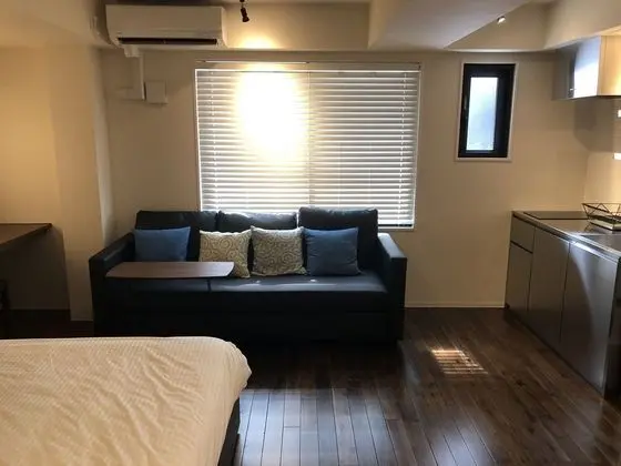 Tek Büyük Yataklı Oda, Özel Banyo (with Sofa Bed)