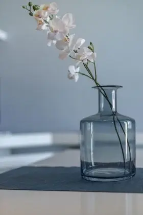 Apart Daire, Sigara İçilebilir