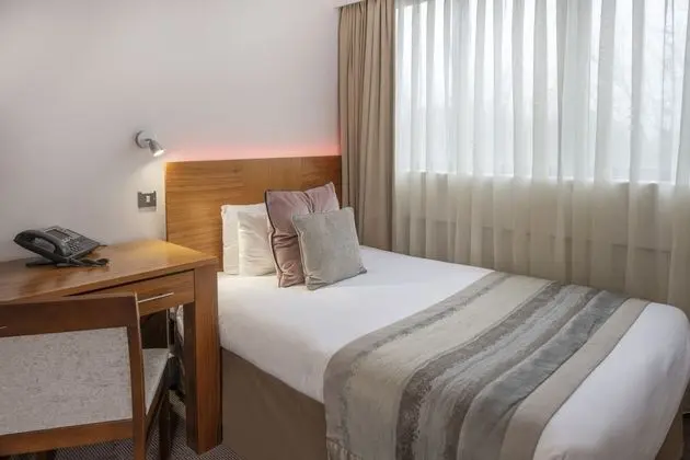 City Tek Kişilik Oda, 1 Yatak Odası