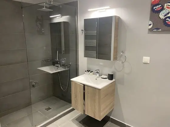 Standard Tek Büyük Yataklı Oda, Park Manzaralı