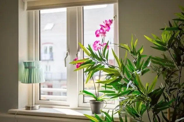 Luxury Kır Evi