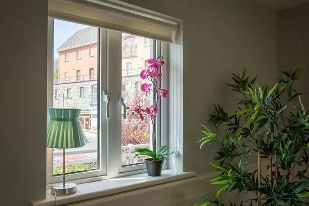 Luxury Kır Evi