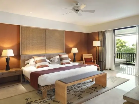 Conrad Suite, Süit, 1 En Büyük (King) Boy Yatak