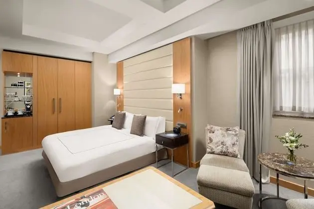 King Executive Accessible With Lounge Access