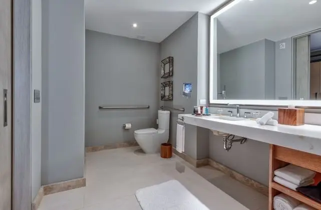 Oda, 1 En Büyük (King) Boy Yatak, Engellilere Uygun (Mobility, Roll-in Shower)