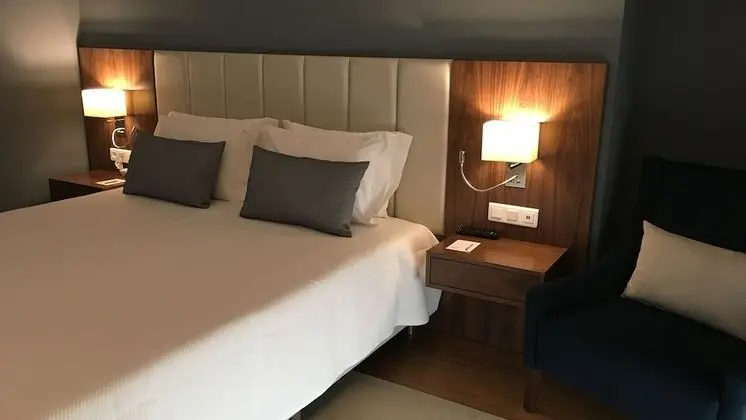 Premium Tek Büyük Yataklı Oda