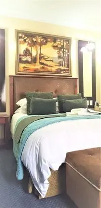 Luxury Tek Büyük Yataklı Oda, 1 Büyük (Queen) Boy Yatak