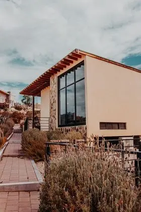 Deluxe Çatı Katı (Loft), Teras, Üzüm Asması Manzaralı