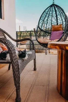Deluxe Çatı Katı (Loft), Teras, Üzüm Asması Manzaralı