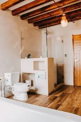 Deluxe Çatı Katı (Loft), Teras, Üzüm Asması Manzaralı