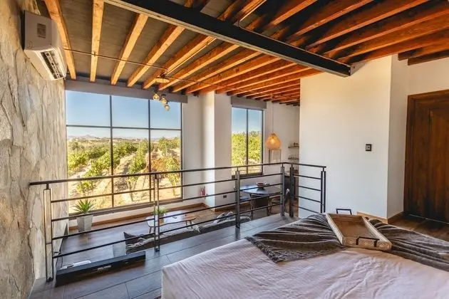 Deluxe Çatı Katı (Loft), Teras, Üzüm Asması Manzaralı