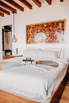 Deluxe Çatı Katı (Loft), Teras, Üzüm Asması Manzaralı