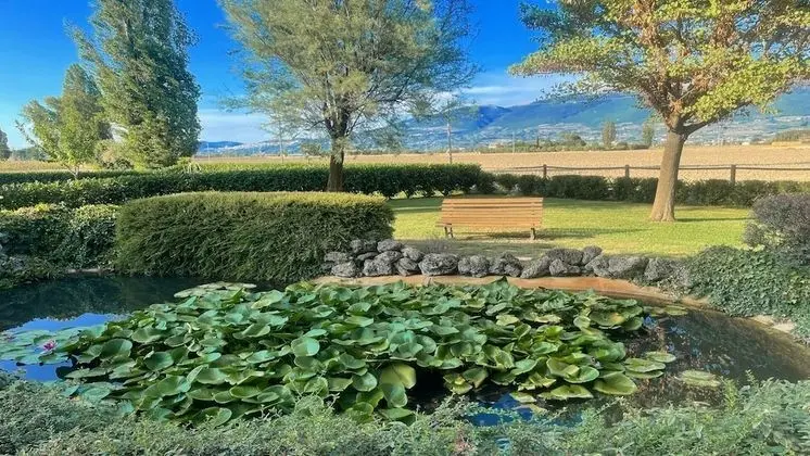 Villa, 4 Yatak Odası, Veranda