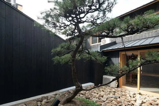 Design Villa, 6 Yatak Odası, Mutfak