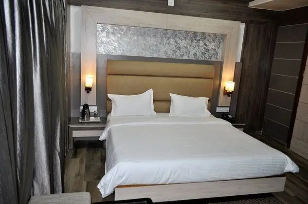 Deluxe Oda, 1 Çift Kişilik Yatak, Şehir Manzaralı