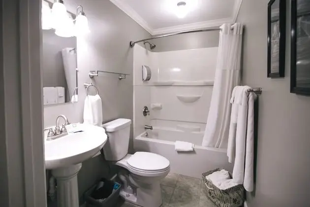 Executive Süit, 1 En Büyük (King) Boy Yatak, Sigara İçilmez, Küçük Mutfak