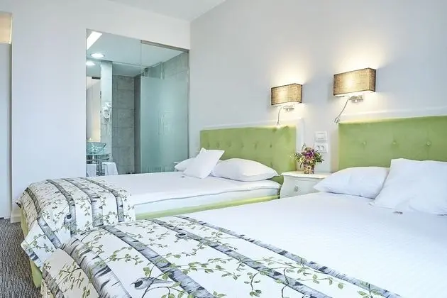 Deluxe Family PLUS Room