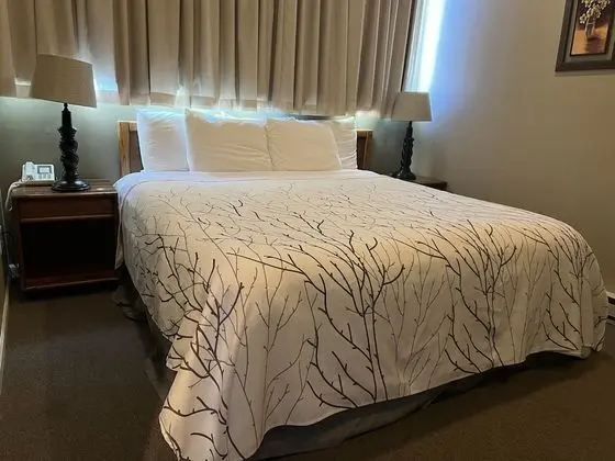 Standard Stüdyo Süit