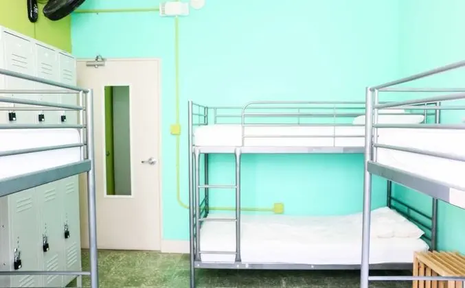 Basic Ortak Ranzalı Oda, Karma Ranzalı Oda (1 bed in 6-bed dormitory)