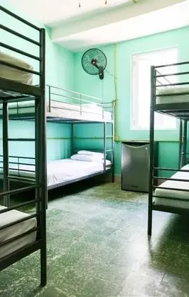 Basic Ortak Ranzalı Oda, Karma Ranzalı Oda (1 bed in 6-bed dormitory)