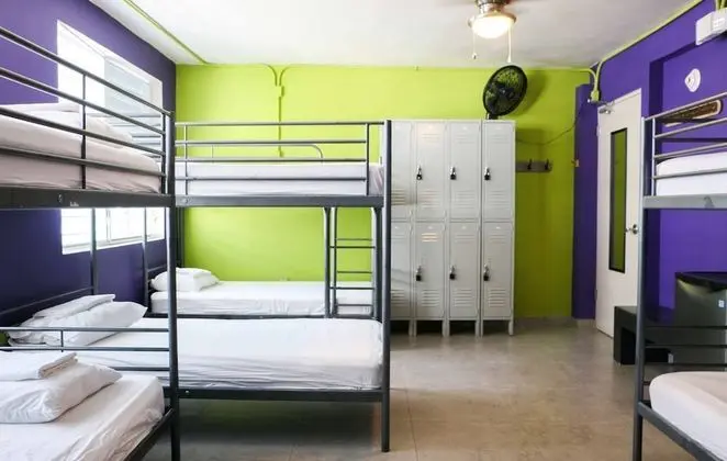 Basic Ortak Ranzalı Oda, Karma Ranzalı Oda (1 bed in 8-bed dormitory)
