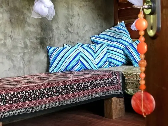 Premium Kulübe