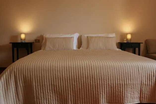 Superior Tek Büyük veya İki Ayrı Yataklı Oda, Bahçe Manzaralı