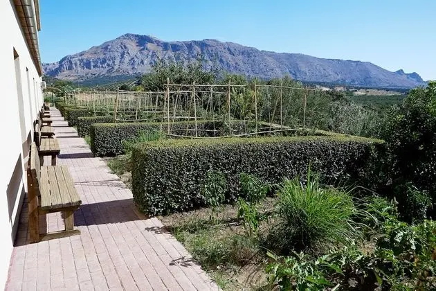 Standard Büyük Yataklı Tek Kişilik Oda, Bahçe Manzaralı