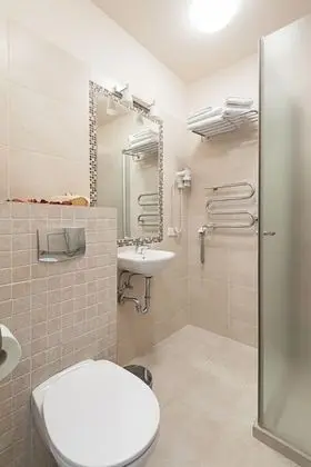 Deluxe Tek Büyük Yataklı Oda, 1 Büyük (Queen) Boy Yatak, Şehir Manzaralı