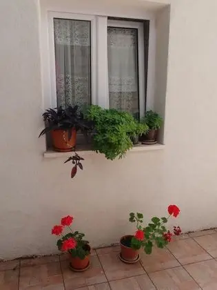 Cute Cottage with Terrace